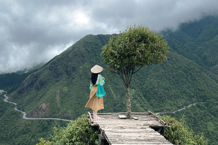 sapa